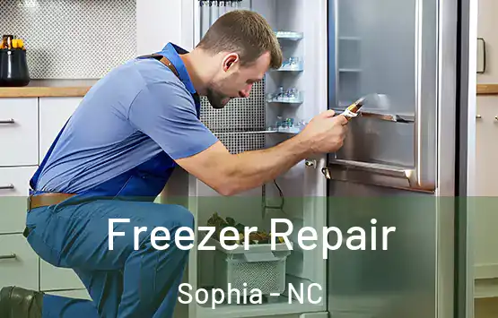  Freezer Repair Sophia - NC