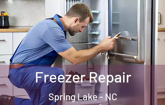  Freezer Repair Spring Lake - NC