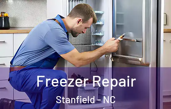  Freezer Repair Stanfield - NC