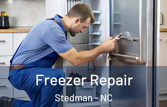  Freezer Repair Stedman - NC