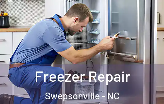  Freezer Repair Swepsonville - NC