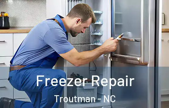  Freezer Repair Troutman - NC