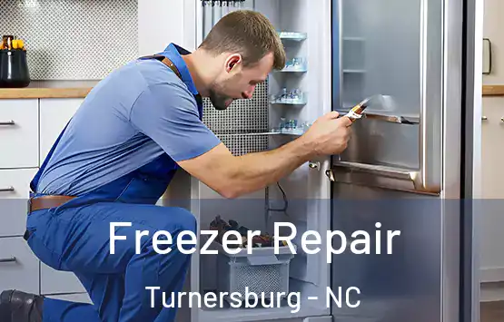  Freezer Repair Turnersburg - NC