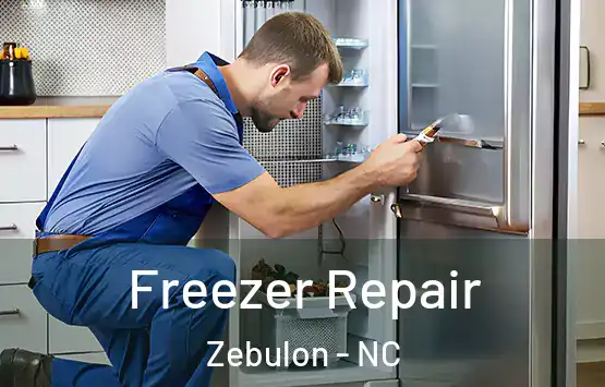  Freezer Repair Zebulon - NC