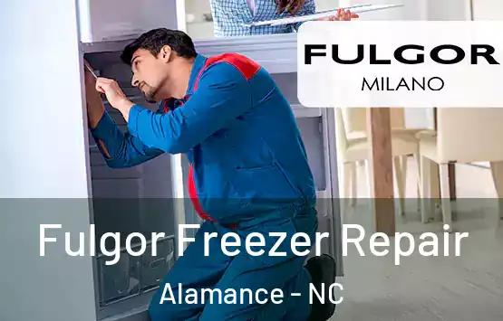  Fulgor Freezer Repair Alamance - NC
