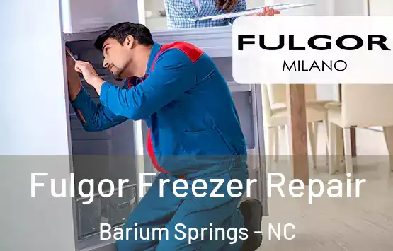  Fulgor Freezer Repair Barium Springs - NC