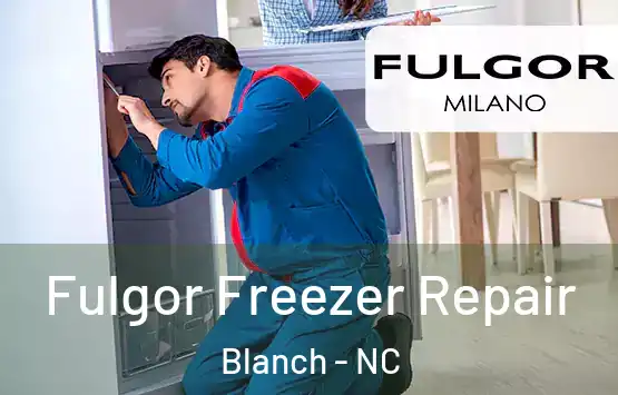  Fulgor Freezer Repair Blanch - NC