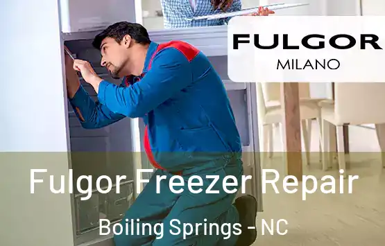  Fulgor Freezer Repair Boiling Springs - NC