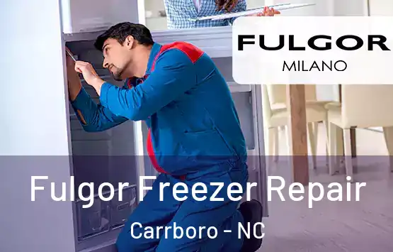  Fulgor Freezer Repair Carrboro - NC