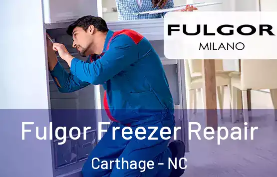  Fulgor Freezer Repair Carthage - NC