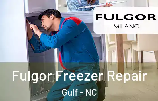  Fulgor Freezer Repair Gulf - NC
