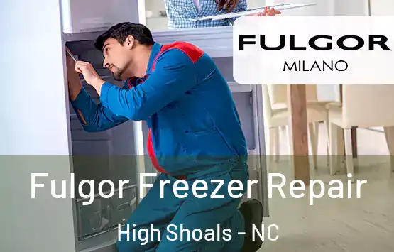  Fulgor Freezer Repair High Shoals - NC