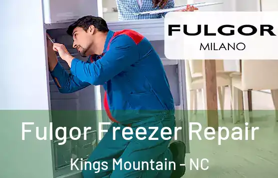  Fulgor Freezer Repair Kings Mountain - NC