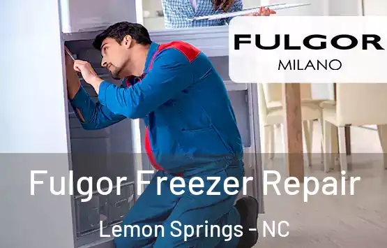  Fulgor Freezer Repair Lemon Springs - NC