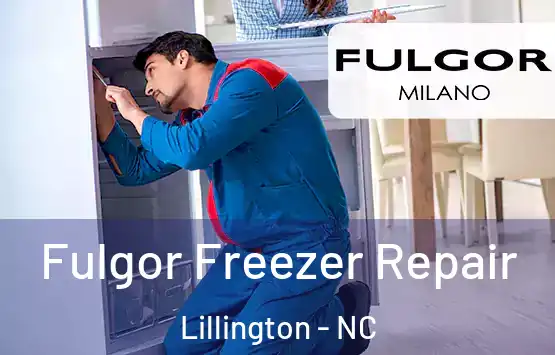  Fulgor Freezer Repair Lillington - NC