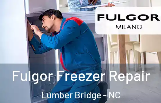  Fulgor Freezer Repair Lumber Bridge - NC