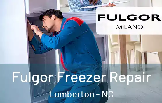  Fulgor Freezer Repair Lumberton - NC
