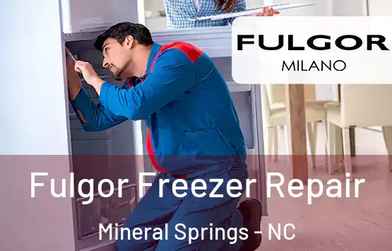  Fulgor Freezer Repair Mineral Springs - NC