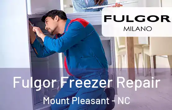  Fulgor Freezer Repair Mount Pleasant - NC