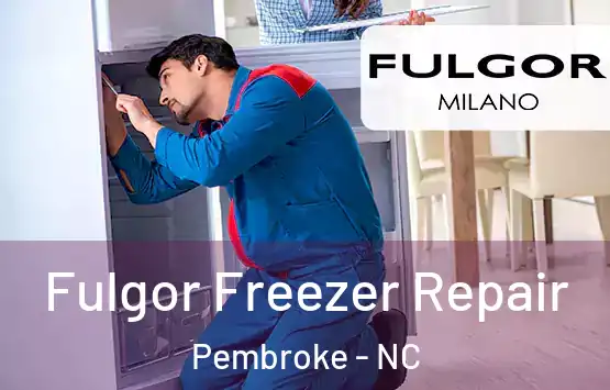  Fulgor Freezer Repair Pembroke - NC
