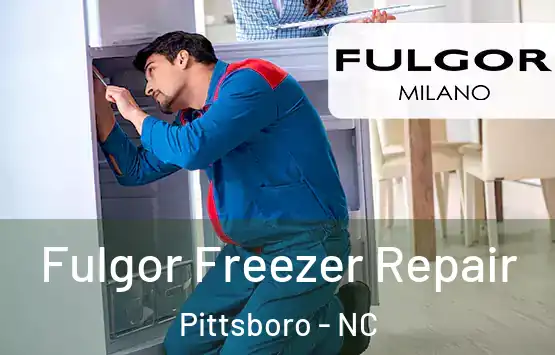  Fulgor Freezer Repair Pittsboro - NC