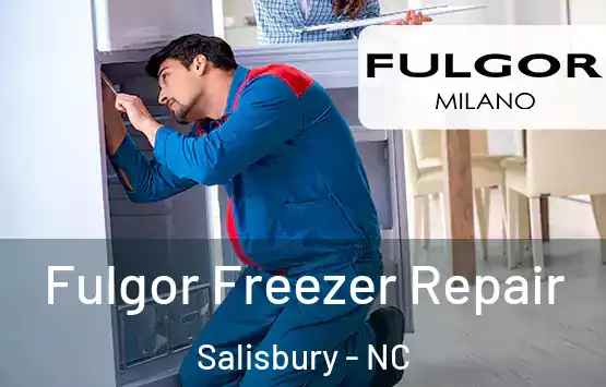  Fulgor Freezer Repair Salisbury - NC