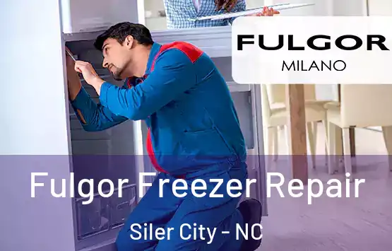  Fulgor Freezer Repair Siler City - NC