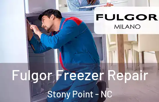  Fulgor Freezer Repair Stony Point - NC