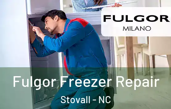  Fulgor Freezer Repair Stovall - NC