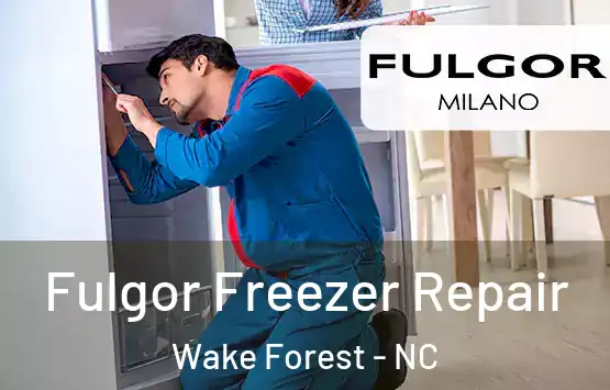  Fulgor Freezer Repair Wake Forest - NC