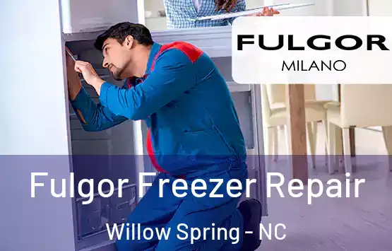  Fulgor Freezer Repair Willow Spring - NC