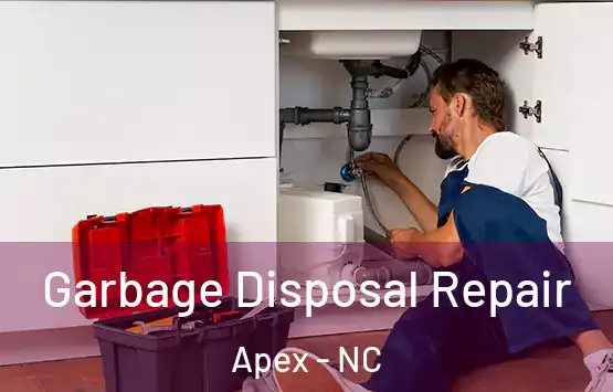  Garbage Disposal Repair Apex - NC