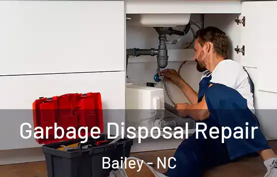  Garbage Disposal Repair Bailey - NC