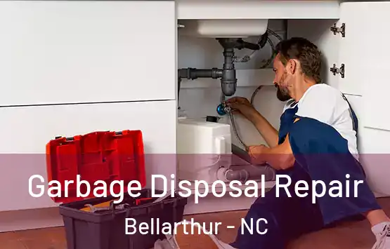  Garbage Disposal Repair Bellarthur - NC