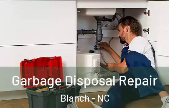  Garbage Disposal Repair Blanch - NC