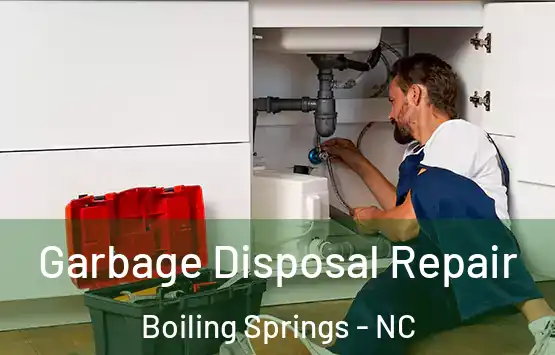  Garbage Disposal Repair Boiling Springs - NC