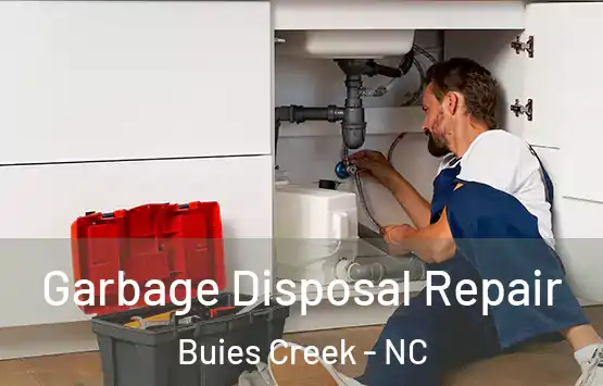  Garbage Disposal Repair Buies Creek - NC