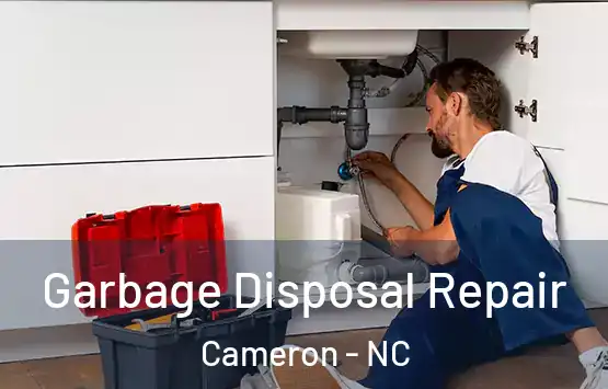  Garbage Disposal Repair Cameron - NC