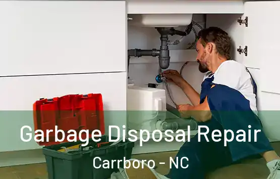  Garbage Disposal Repair Carrboro - NC