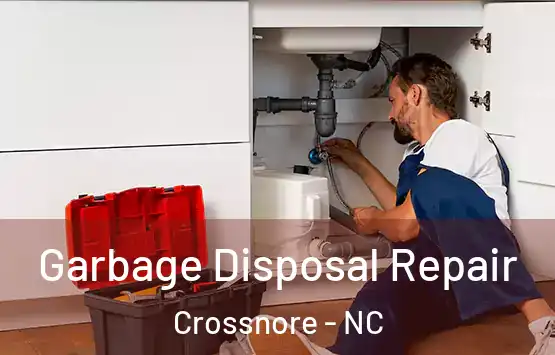  Garbage Disposal Repair Crossnore - NC