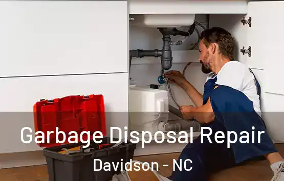  Garbage Disposal Repair Davidson - NC
