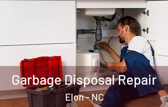  Garbage Disposal Repair Elon - NC
