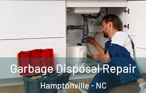  Garbage Disposal Repair Hamptonville - NC