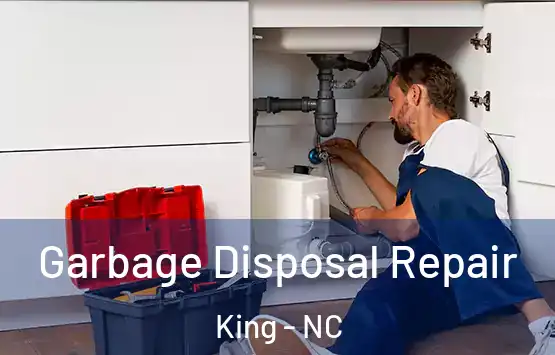  Garbage Disposal Repair King - NC