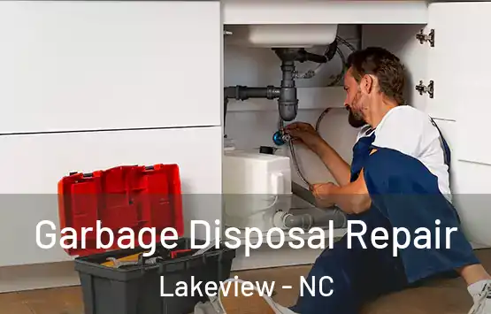  Garbage Disposal Repair Lakeview - NC