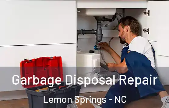  Garbage Disposal Repair Lemon Springs - NC