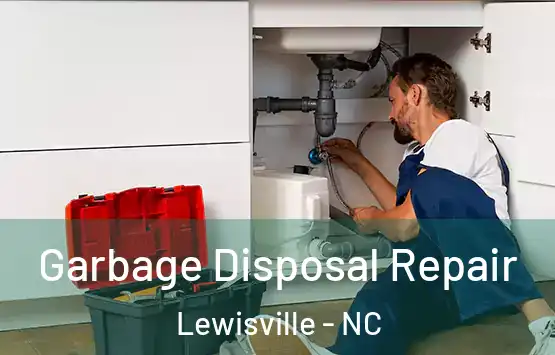  Garbage Disposal Repair Lewisville - NC