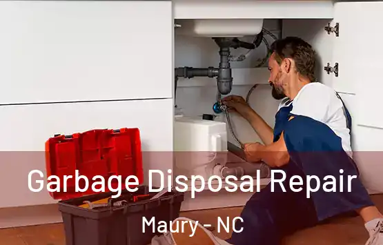  Garbage Disposal Repair Maury - NC