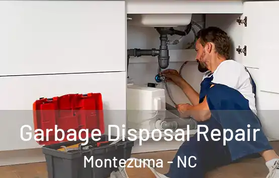  Garbage Disposal Repair Montezuma - NC