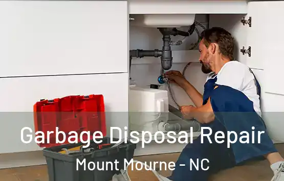  Garbage Disposal Repair Mount Mourne - NC